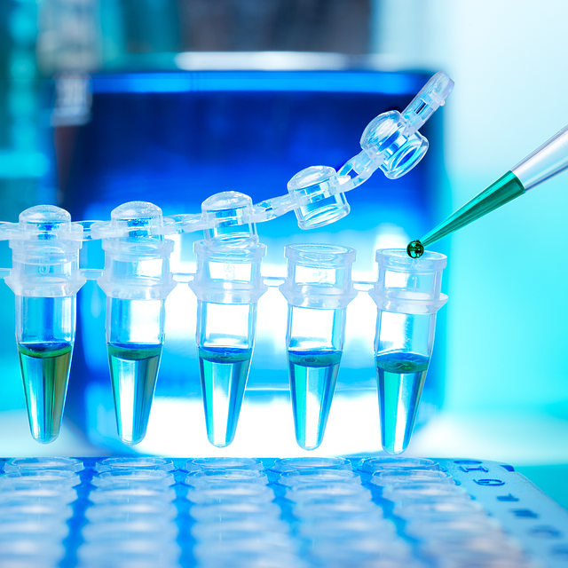 三甲基胺乙基哌嗪作為聚氨酯鏈增長劑和催化劑,提升聚合物分子量和性能。